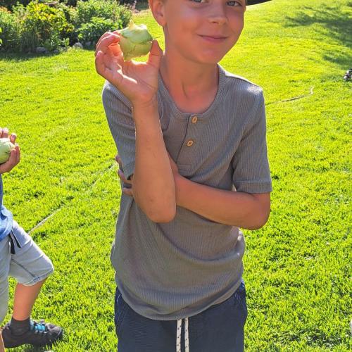Bub mit Kohlrabi