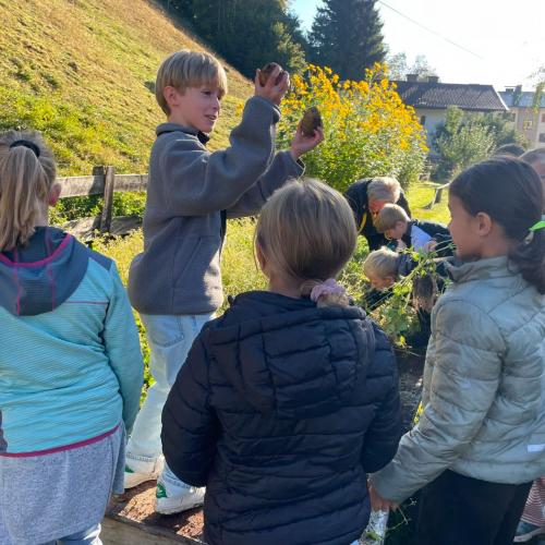 Kinder bei der Kartoffelernte