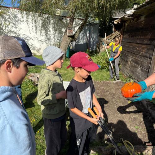 Kinder bei der Kürbisernte 