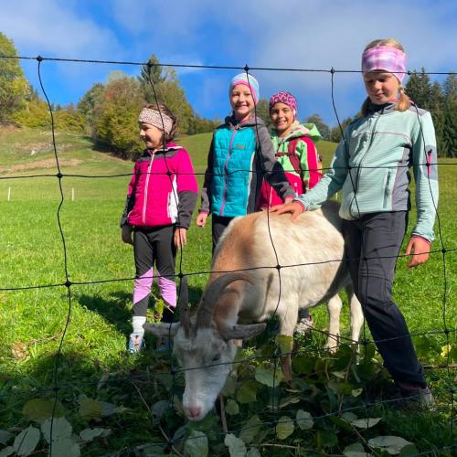 Kinder mit Ziege