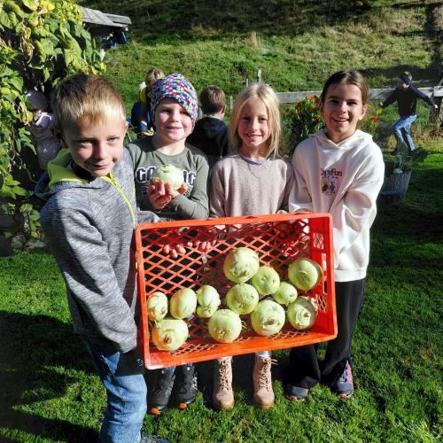 Kinder präsentieren die geernteten Kohlrabi