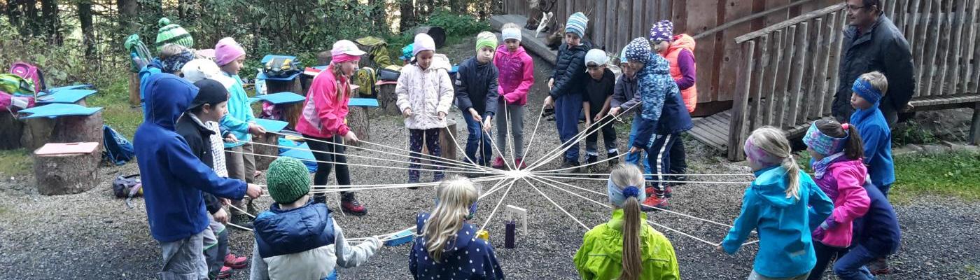 Wald 2. Klasse
