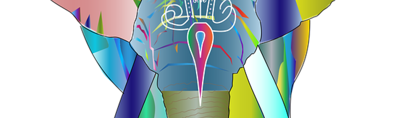 © https://pixabay.com/de/vectors/elefant-dickh%C3%A4uter-tier-afrika-3350809/ Elefant