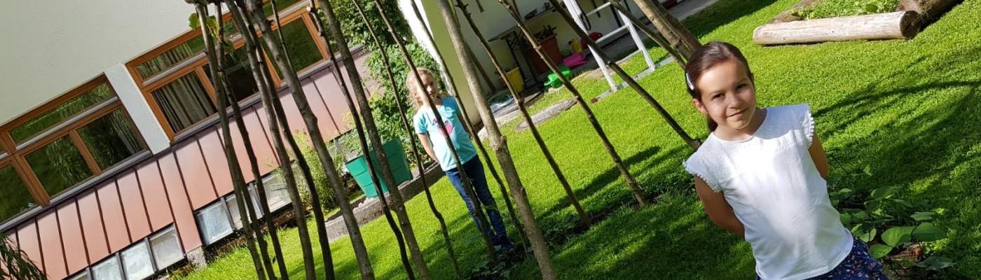 Obst- und Gartenbauverein