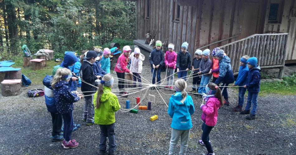 Wald 2. Klasse