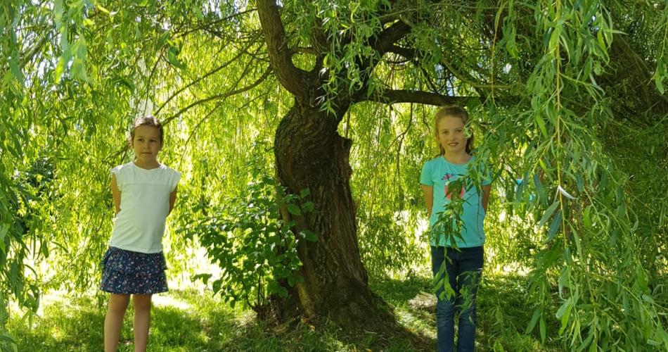 Obst- und Gartenbauverein