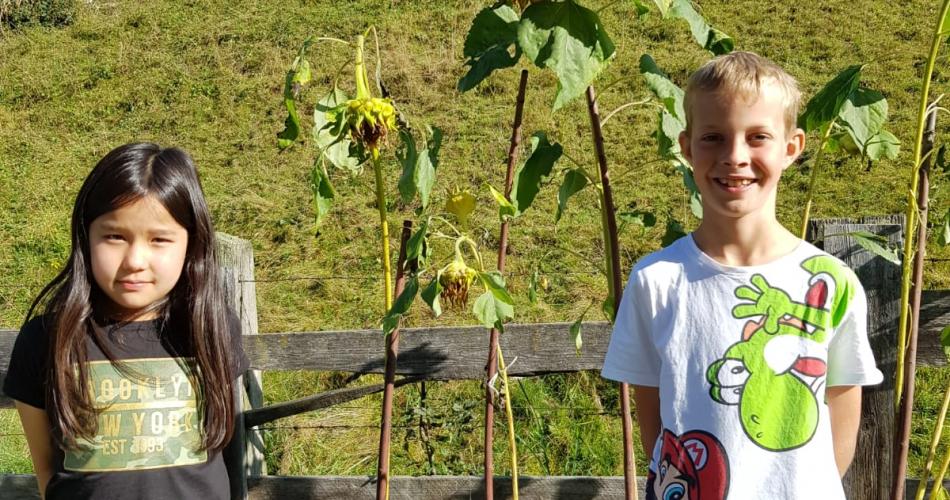 Sonnenblumengesicht