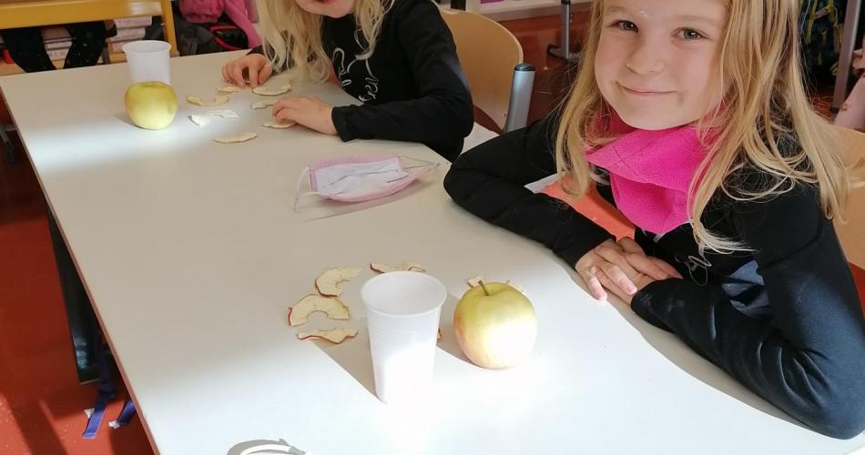 Apfel1