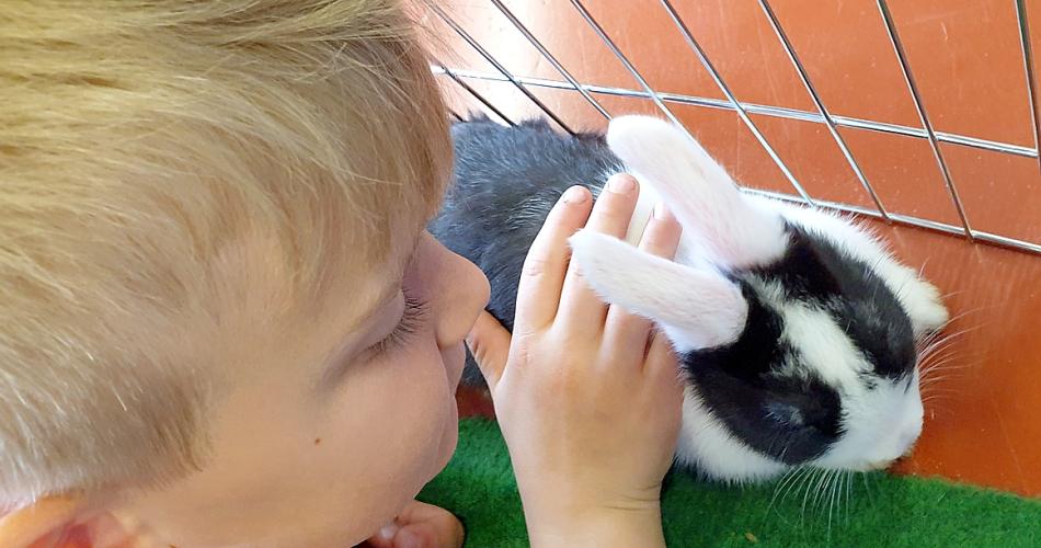 Hasen von Hannah (4)