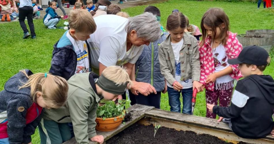 Obst- und Gartenbauverein