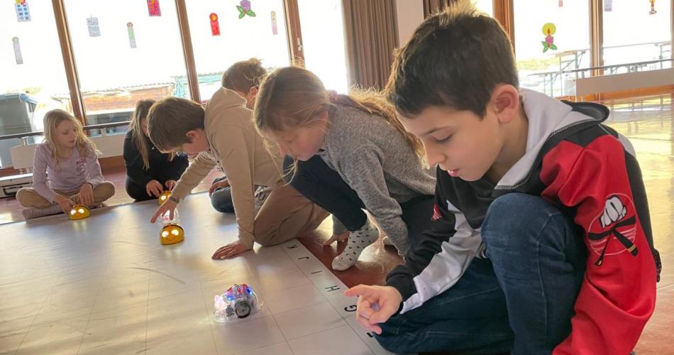 BeeBots und Lego Spike