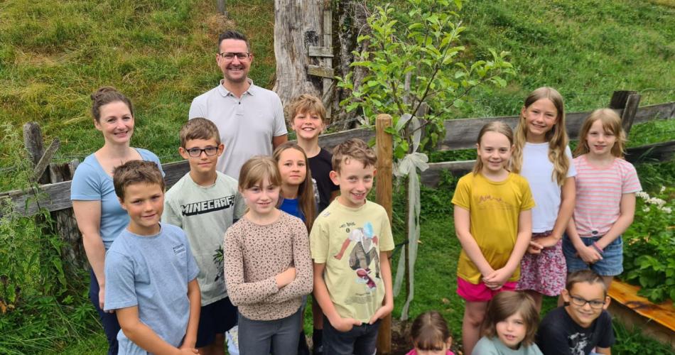 Apfelbäumchen im Schulgarten