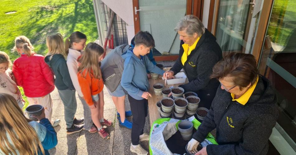 Kinder beim Einsetzen der Samen